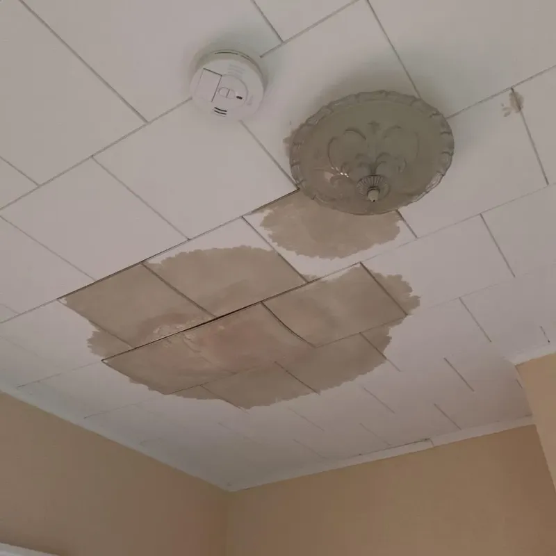 Ceiling Water Damage Repair in New Preston, CT
