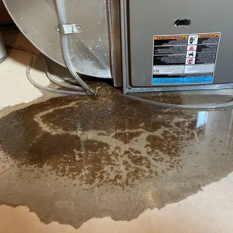 Pipe Burst and Leak Restoration in New Preston, CT