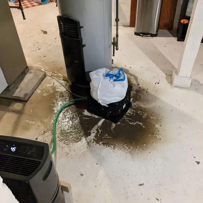 Sewage Backup Cleanup Service in New Preston, CT